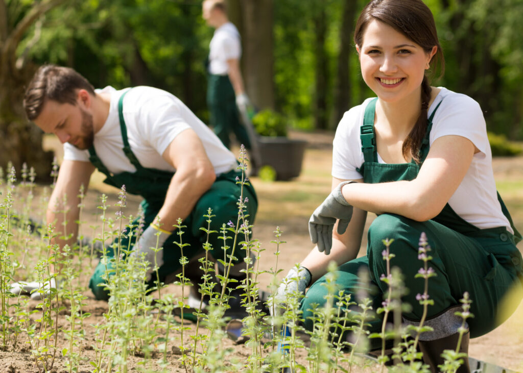 Gärtner im Garten- und Landschaftsbau