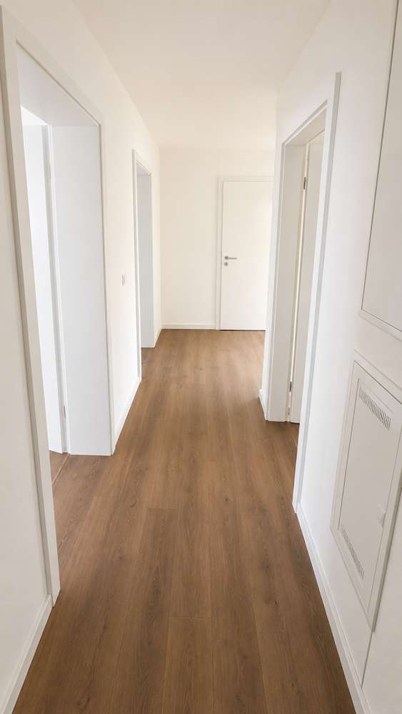 Alles neu 2026